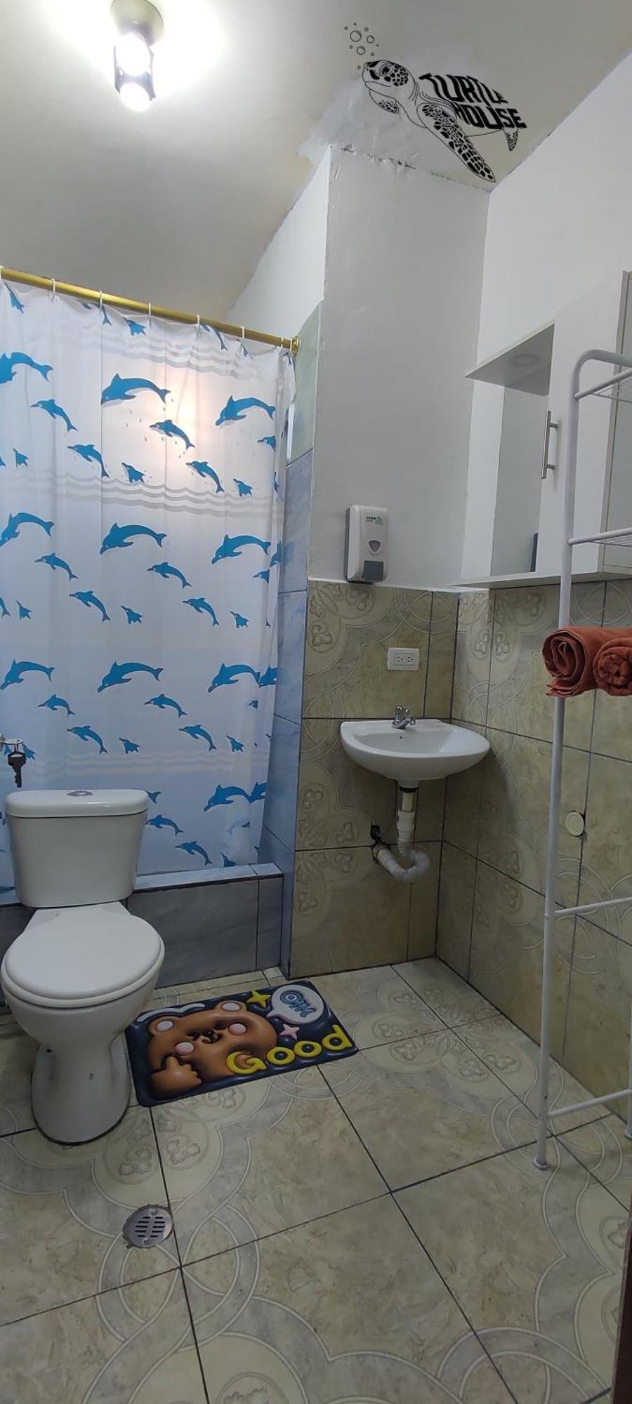 شقة Tortuga House بويرتو بكويريزو مورينو المظهر الخارجي الصورة