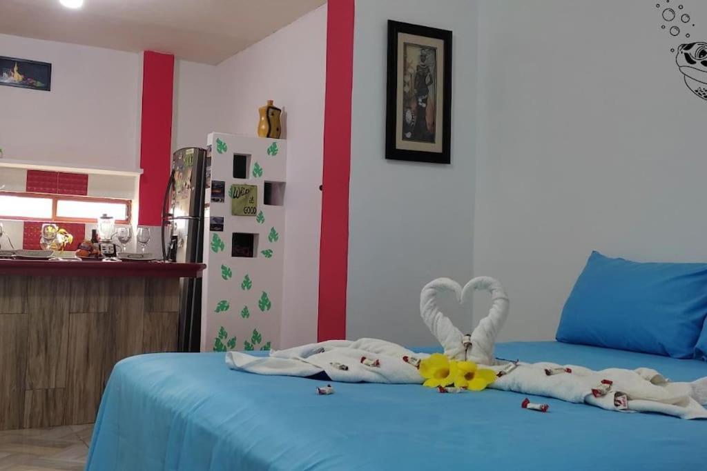 شقة Tortuga House بويرتو بكويريزو مورينو المظهر الخارجي الصورة